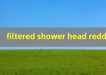  filtered shower head reddit